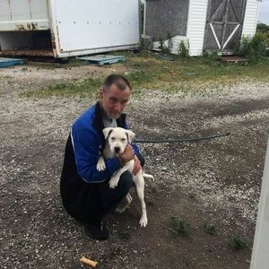 Meet your Posher, Mike